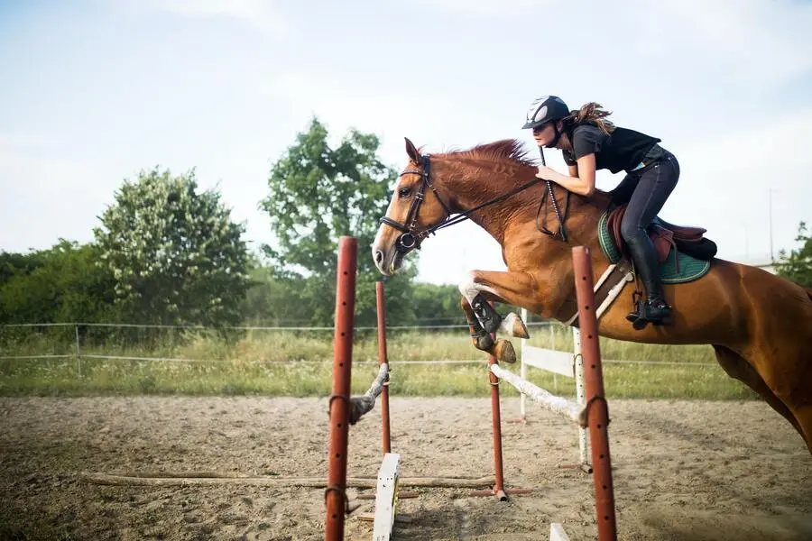 young-female-jockey-on-horse-leaping-over-hurdle-10